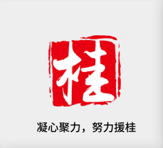 聚焦产业，努力援桂